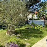 Les Coquillages De Langrune-sur-Mer