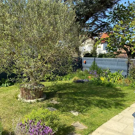 Les Coquillages De Langrune-sur-Mer