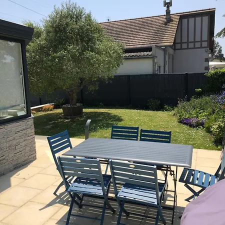 Les Coquillages De Langrune-sur-Mer