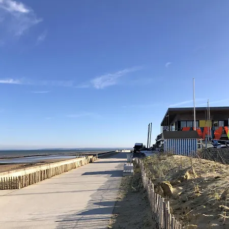 Les Coquillages De * Langrune-sur-Mer