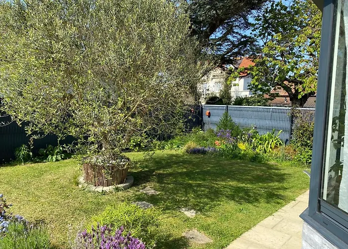 Les Coquillages De Langrune-sur-Mer