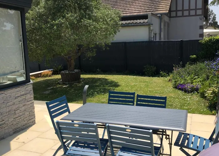 Les Coquillages De Langrune-sur-Mer