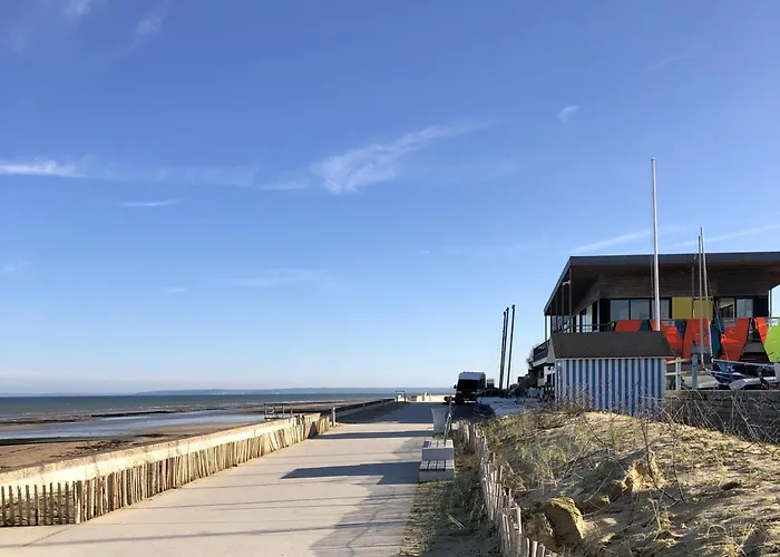 Les Coquillages De * Langrune-sur-Mer